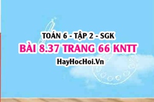 Bài 8.37 trang 66 Toán 6 Tập 2 Kết nối tri thức